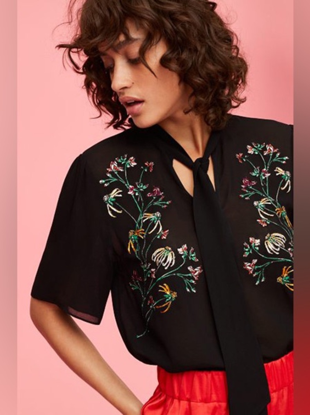 Little Moon Black Sheer Floral Embroidered Blouse